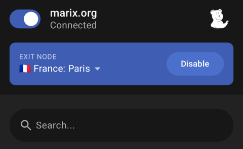 Exit-Node-Status in der Tailscale-App